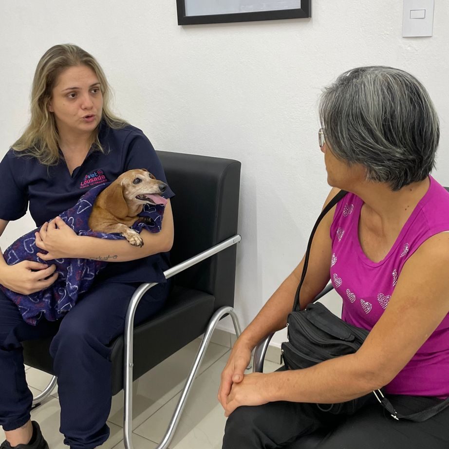 CLINICA VETERINARIA VETLOUSADA